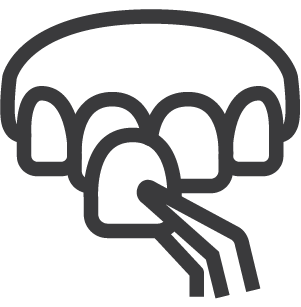 veneers logo image